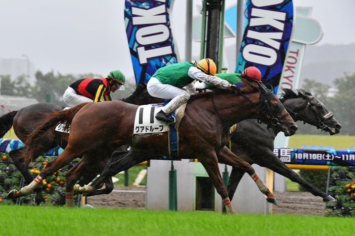 東京芝1800ｍの2歳馬未勝利戦では不良馬場にもかかわらず、末脚の強さを見せたプラチナトレジャー（写真奥）写真：産経新聞社