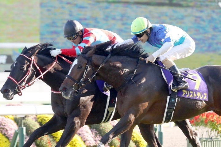 条件戦を２連勝。菊花賞ではコントレイルと競り合い２着に食い込んだアリストテレス（手前）。写真：産経新聞社