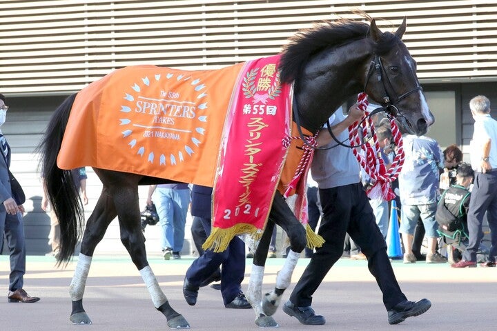圧倒的な力を見せたピクシーナイト。２馬身差をつけて完勝した。写真：産経新聞社