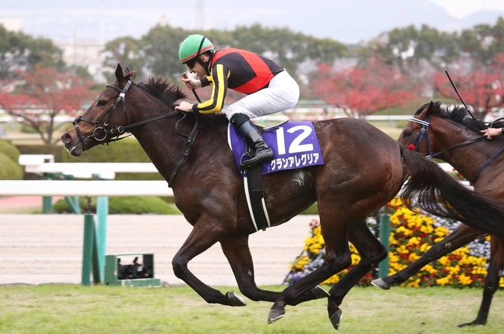 グランアレグリアは、牝馬として史上６頭目となる獲得賞金10億円を突破した。写真：産経新聞社