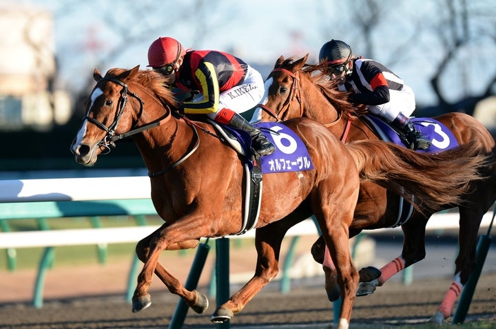 ラストランの2013年有馬記念では、２着に８馬身差をつける圧勝劇で花道を飾った。写真：産経新聞社