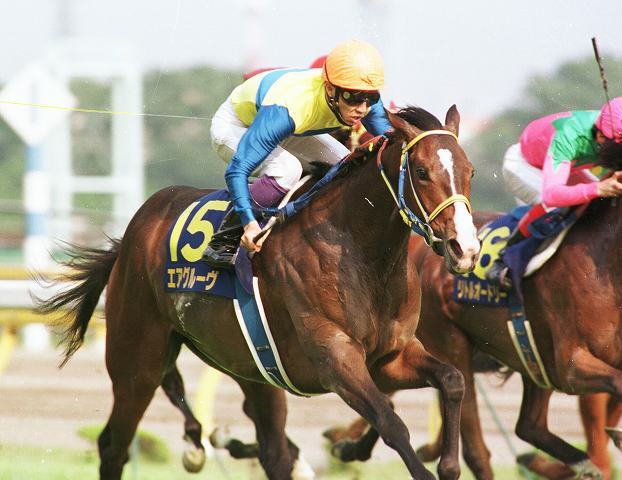 牝馬では圧倒的な強さを発揮したエアグルーヴ。牡馬相手にも互角以上のレースを展開した。写真：産経新聞社