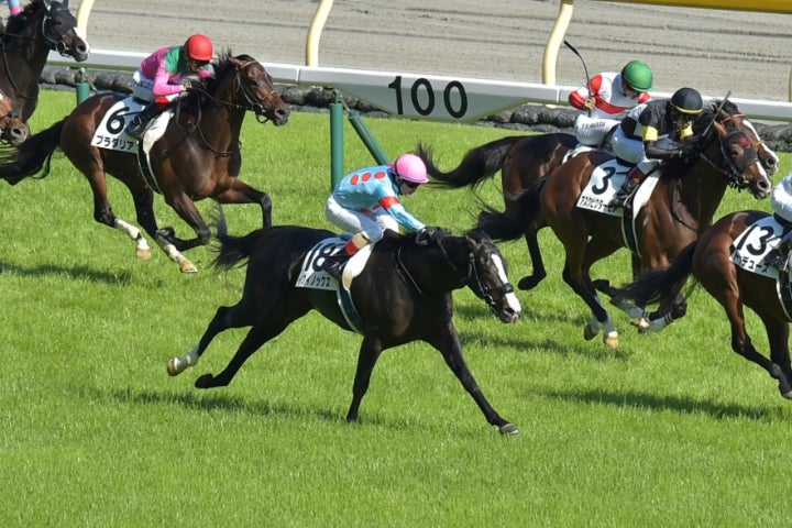 日本ダービーでは２着に敗れたイクイノックス（真ん中18番）だが、秋にかけて馬体は成長。古馬相手でも引けは取らない。写真：産経新聞社
