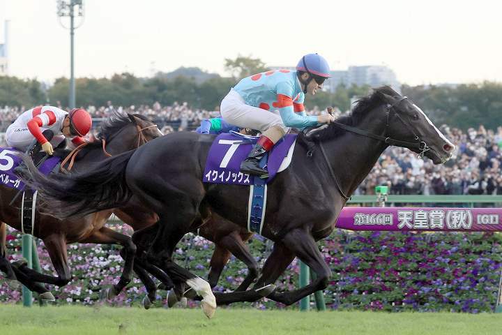 今年の天皇賞・秋を制したイクイノックス。有馬記念でその強さを再び誇示できるか。写真：産経新聞社