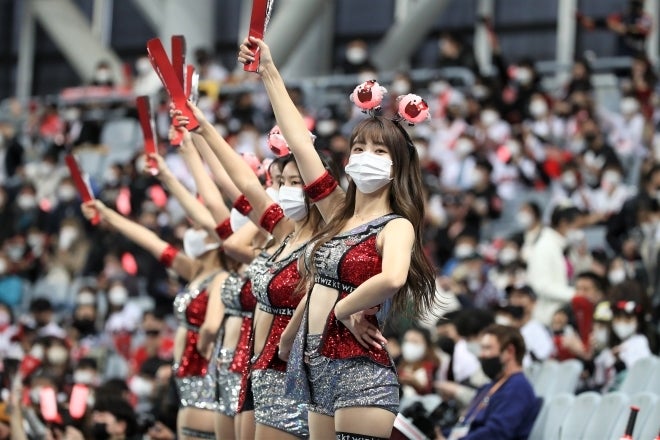 韓国プロ野球に欠かせないド派手なチアチーム。WBCでも東京ドームを席巻するか。(C)Getty Images
