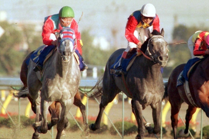 1988年の天皇賞（秋）で直接対決したタマモクロス（左）とオグリキャツプ（右）。芦毛対決に東京競馬場は興奮に包まれた。写真：産経新聞社　