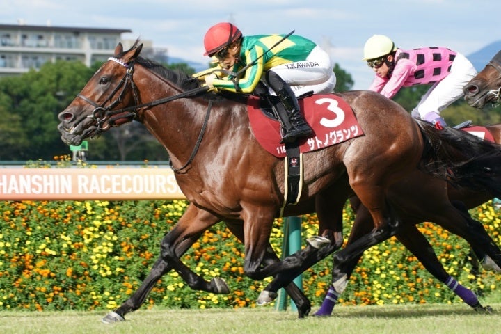 前哨戦を制したサトノグランツ。牡馬クラシック最後のタイトルを狙う。写真：産経新聞社
