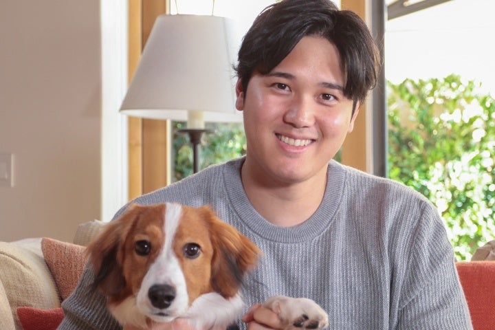 大谷は記者会見で飼っている犬の名前が「デコピン」だと明かした。。(C)Getty Images