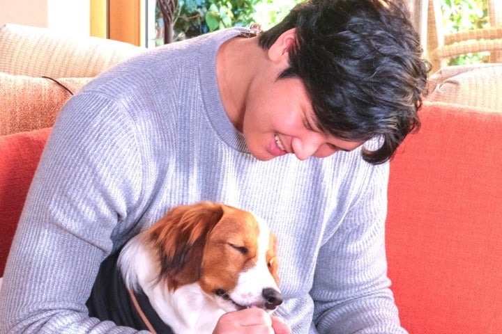 大谷とともに愛犬デコピンがオフシーズンの話題となっている。(C)Getty Images