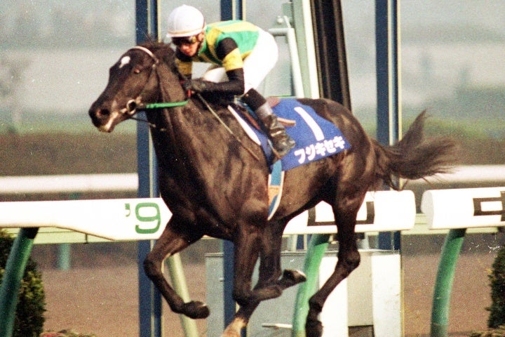 94年朝日杯３歳Ｓの覇者で、種牡馬としても多くの名馬を送り出したフジキセキ。写真：産経新聞社