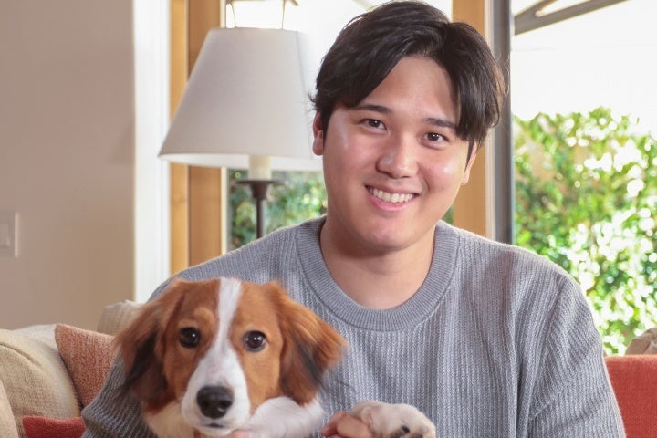 大谷の愛犬であるデコピンが日米ファンを悶絶させている。(C)Getty Images