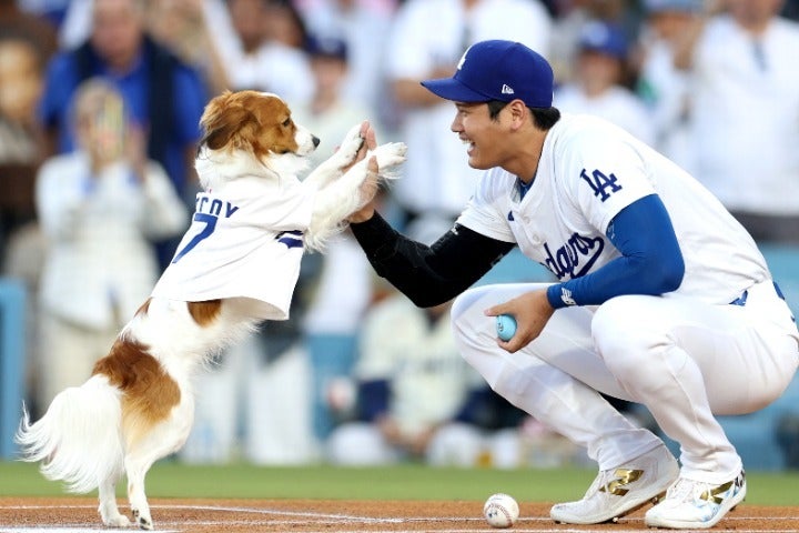 現地８月28日のオリオールズ戦で始球式を行なったデコピンと大谷。(C)Getty Images