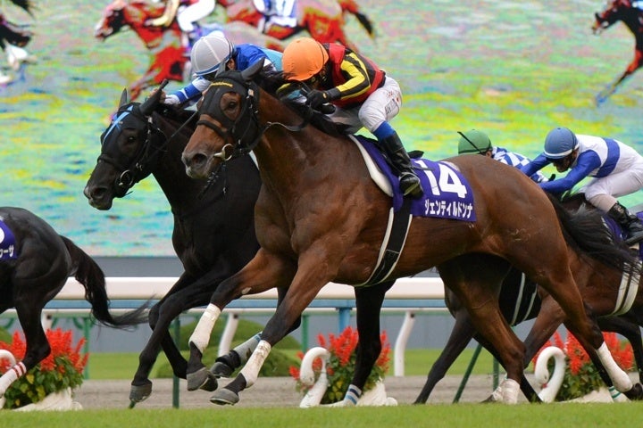 牝馬三冠を達成したジェンティルドンナ（手前）。ヴィルシーナ（奥）と牝馬クラシック戦線で名勝負を繰り広げた。写真：産経新聞社