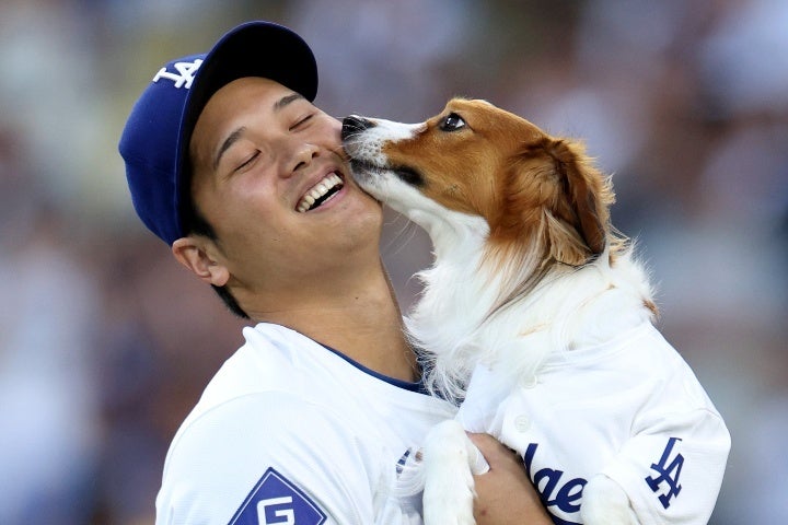 大谷の愛犬デコピン。主人の初の地区Vを祝福した。(C)Getty Images