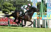 条件戦を強い競馬で２連勝。上がり馬のヘデントールに注目だ。写真提供：産経新聞社