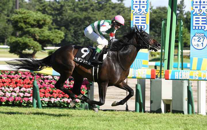 条件戦を強い競馬で２連勝。上がり馬のヘデントールに注目だ。写真提供：産経新聞社