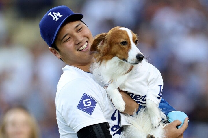 ドジャースの大谷翔平と愛犬デコピン。(C)Getty Images