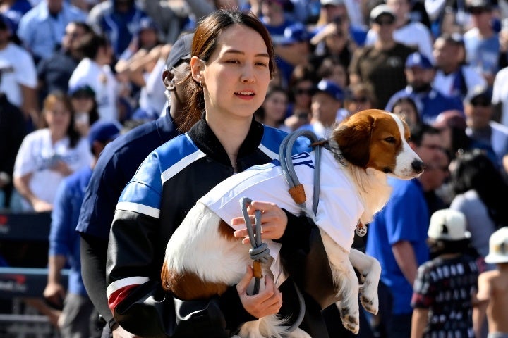 真美子夫人はセレモニー後、愛犬デコピンを抱えて再登場した。(C)Getty Images