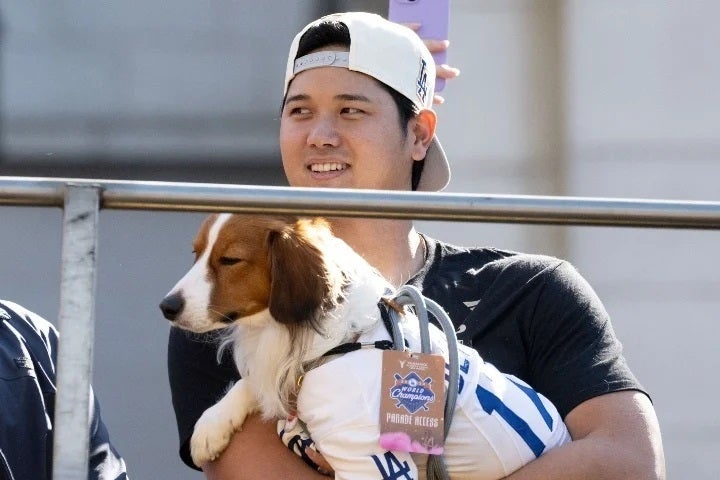 大谷の愛犬デコピンもド軍優勝パレードに登場した。(C)Getty Images