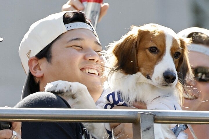 大谷のMVP受賞の瞬間、愛犬デコピンがみせた表情が話題。(C) Getty Images