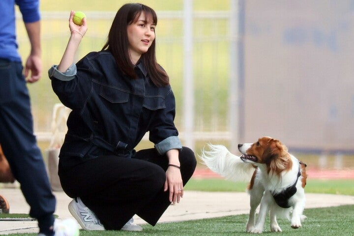 真美子夫人を見つめるデコピン。キャンプ施設を訪れ、ボール遊びを楽しんだ。写真：産経新聞社