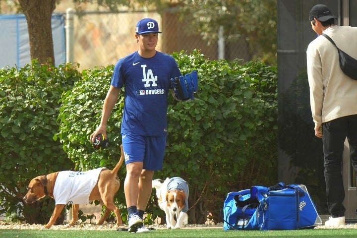 大谷（右）の愛犬デコピン（中央下）と戯れた山本（中央）の愛犬（左下）。写真：日刊スポーツ/アフロ