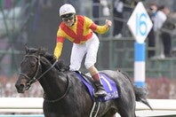 ２年前の覇者・ジャスティンパレスは６着だった。写真：産経新聞社