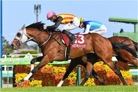 ニュージーランドTを勝ったイミグラントソング。写真：産経新聞社