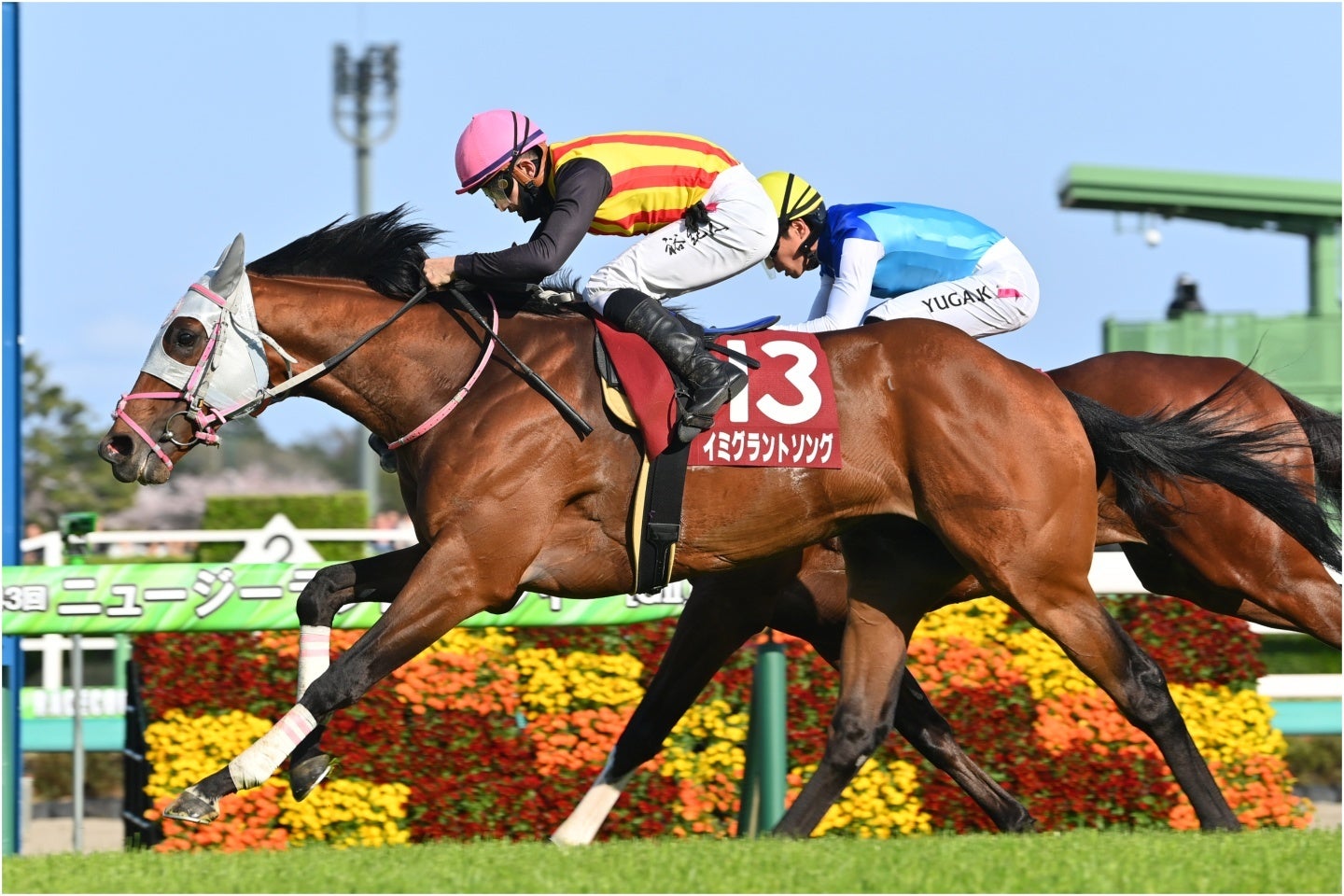 ニュージーランドTを勝ったイミグラントソング。写真：産経新聞社