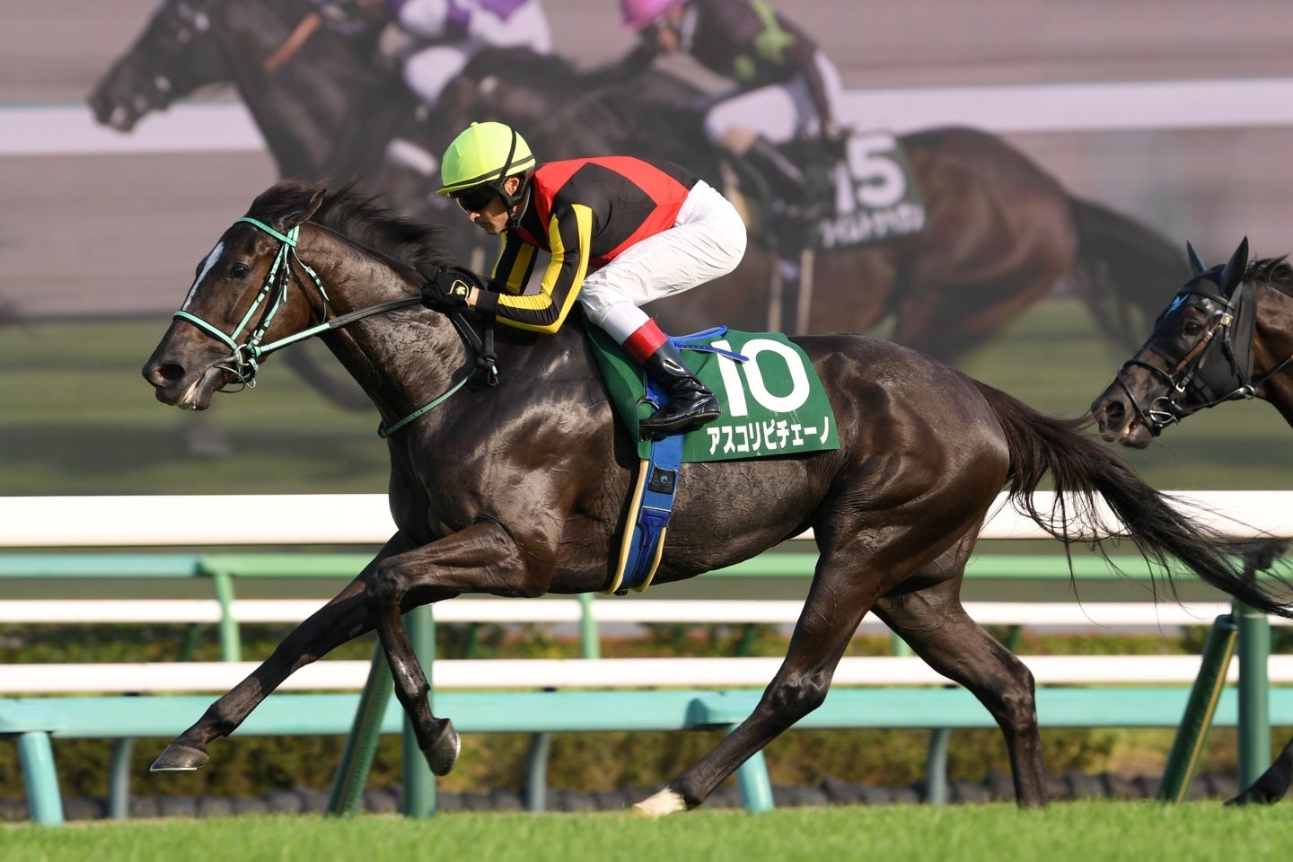 前走で古馬の牡馬勢を一蹴したアスコリピチェーノ。２歳女王が久々のGⅠ制覇を狙う。写真：産経新聞社