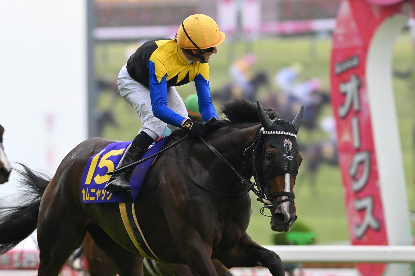 ４番人気のカムニャックがゴール前の競り合いを制した。 写真：産経新聞社