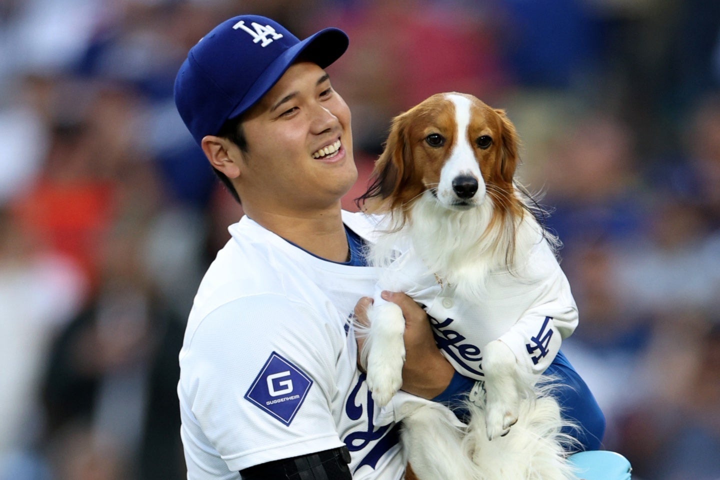 大谷は愛犬デコピンの最新姿を公開した。(C)Getty Images