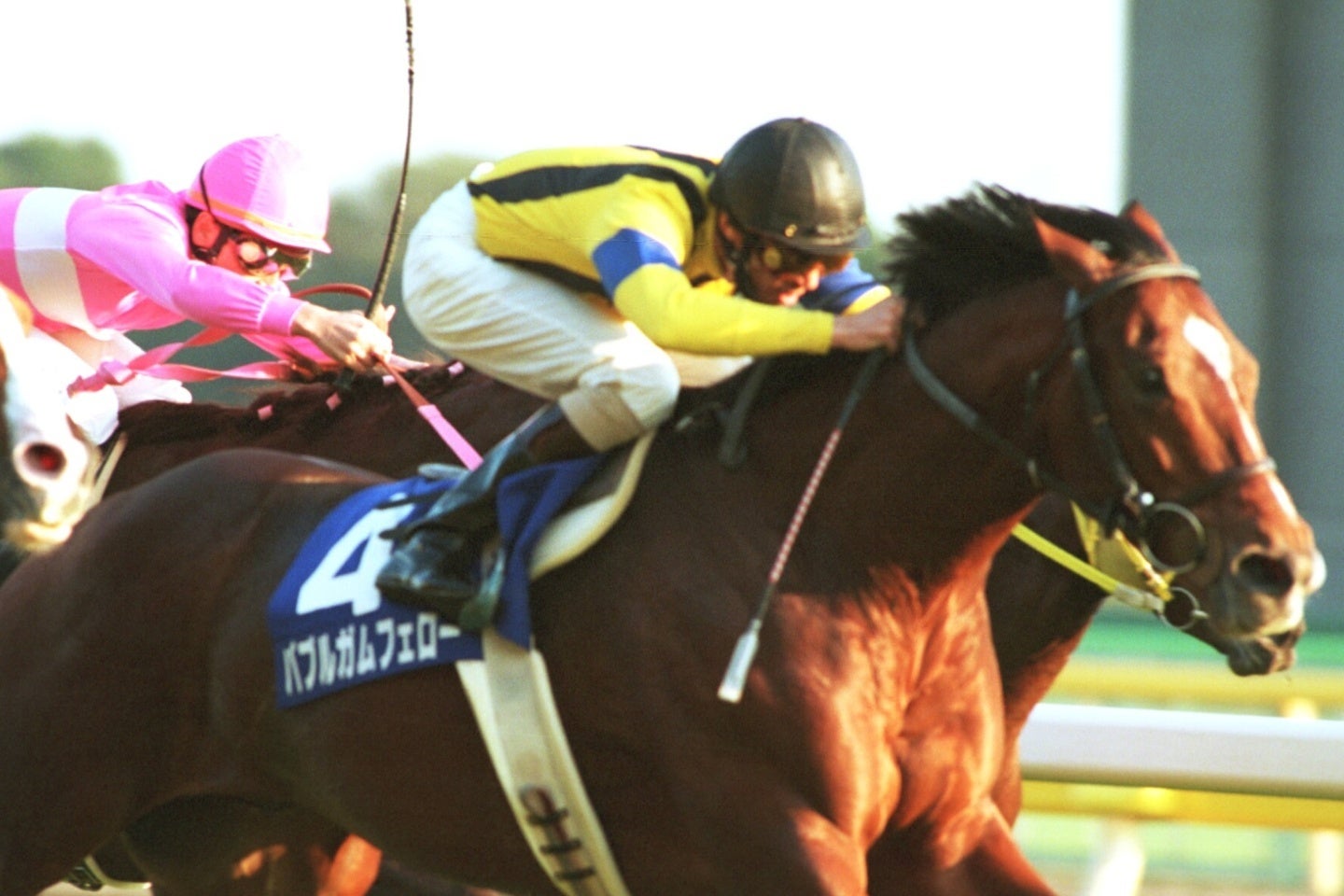 名馬列伝】大種牡馬サンデーサイレンス「最初の大物」バブルガム