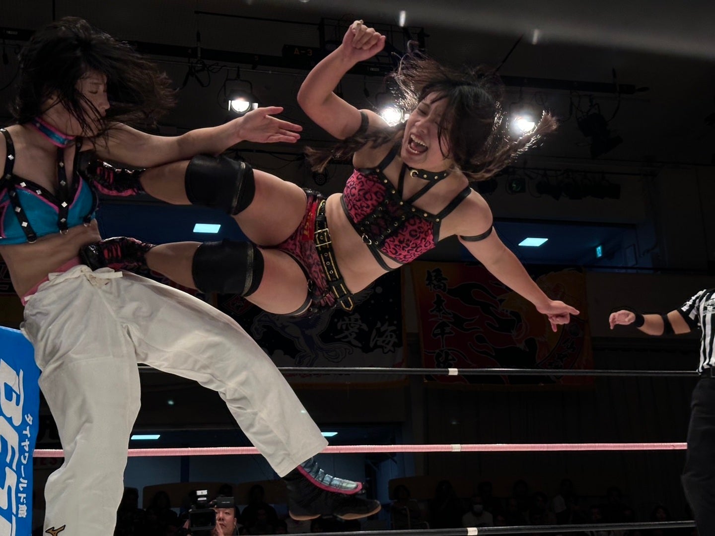レア　仙女VS スターダム団体対抗　女子プロレスの変 女子プロレスの変 仙女vsスターダム団体対抗 シングルマッチ