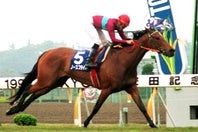 春秋マイルGⅠ制覇を達成したノースフライト。写真：産経新聞社