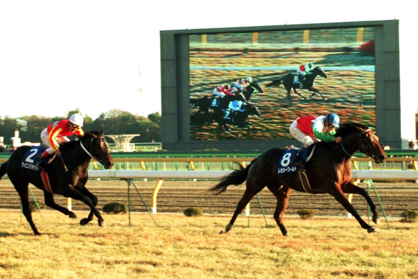 国内外の強豪が揃ったジャパンCを制したレガシーワールド（右）。写真：産経新聞社