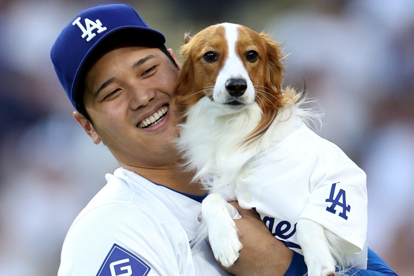 大谷が今季40号を放った試合の直後に、愛犬デコピンの動画をストーリーで公開した。(C) Getty Images