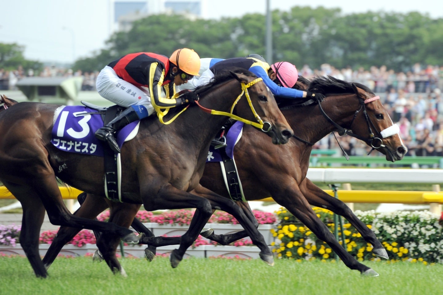 アパパネ（奥）は13番のブエナビスタの猛追を抑えヴィクトリアMを制覇。GⅠ５勝目を挙げた。写真：産経新聞社