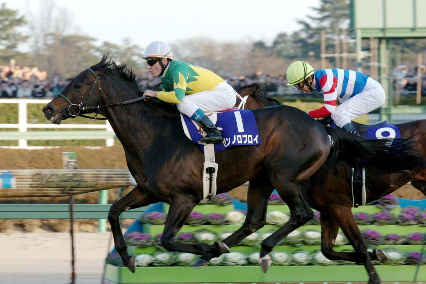 04年有馬記念を制し、秋古馬三冠を成し遂げたゼンノロブロイ。写真：産経新聞社