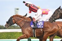 ウインカーネリアンの三浦騎手は悲願のGⅠ初制覇にガッツポーズを出した。写真：産経新聞社