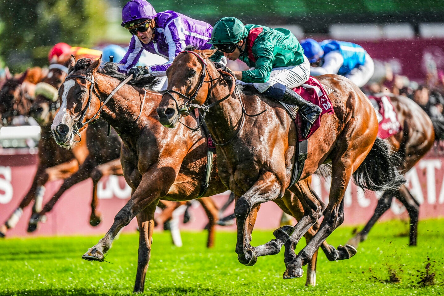 10番人気のダリズ（右）がミニーホーク（左）との激しい接戦を競り勝った。(C)Getty Images