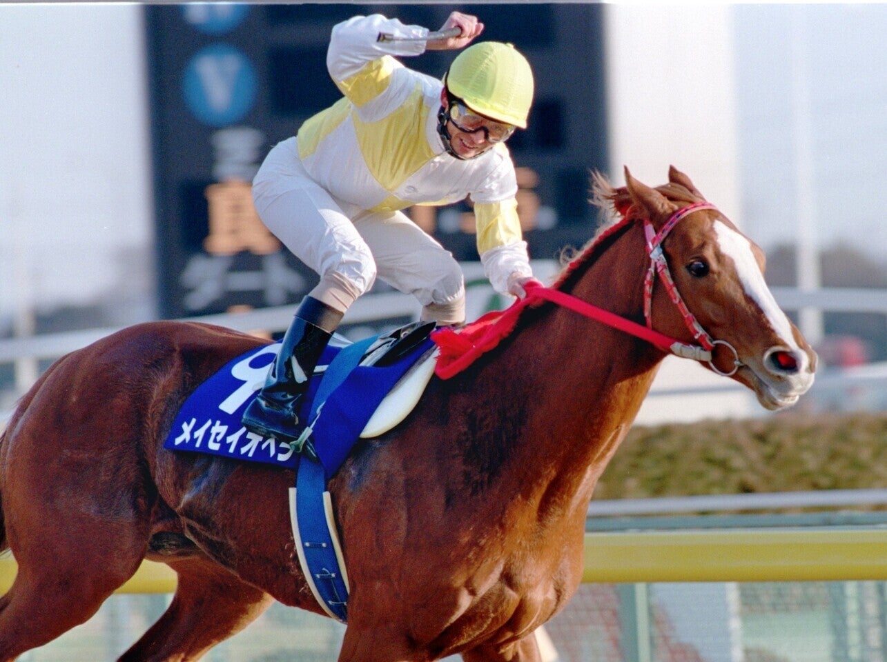 メイセイオペラは地方所属馬として史上初めて中央GⅠを制覇した。写真：産経新聞社