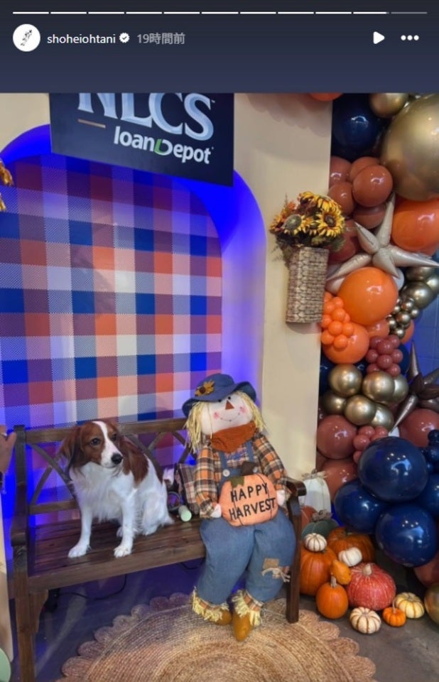 WS進出を決めたドジャース。NLCSのMVPに輝いた大谷は愛犬の最新姿を公開した。（画像は大谷翔平公式インスタグラムのスクリーンショット）