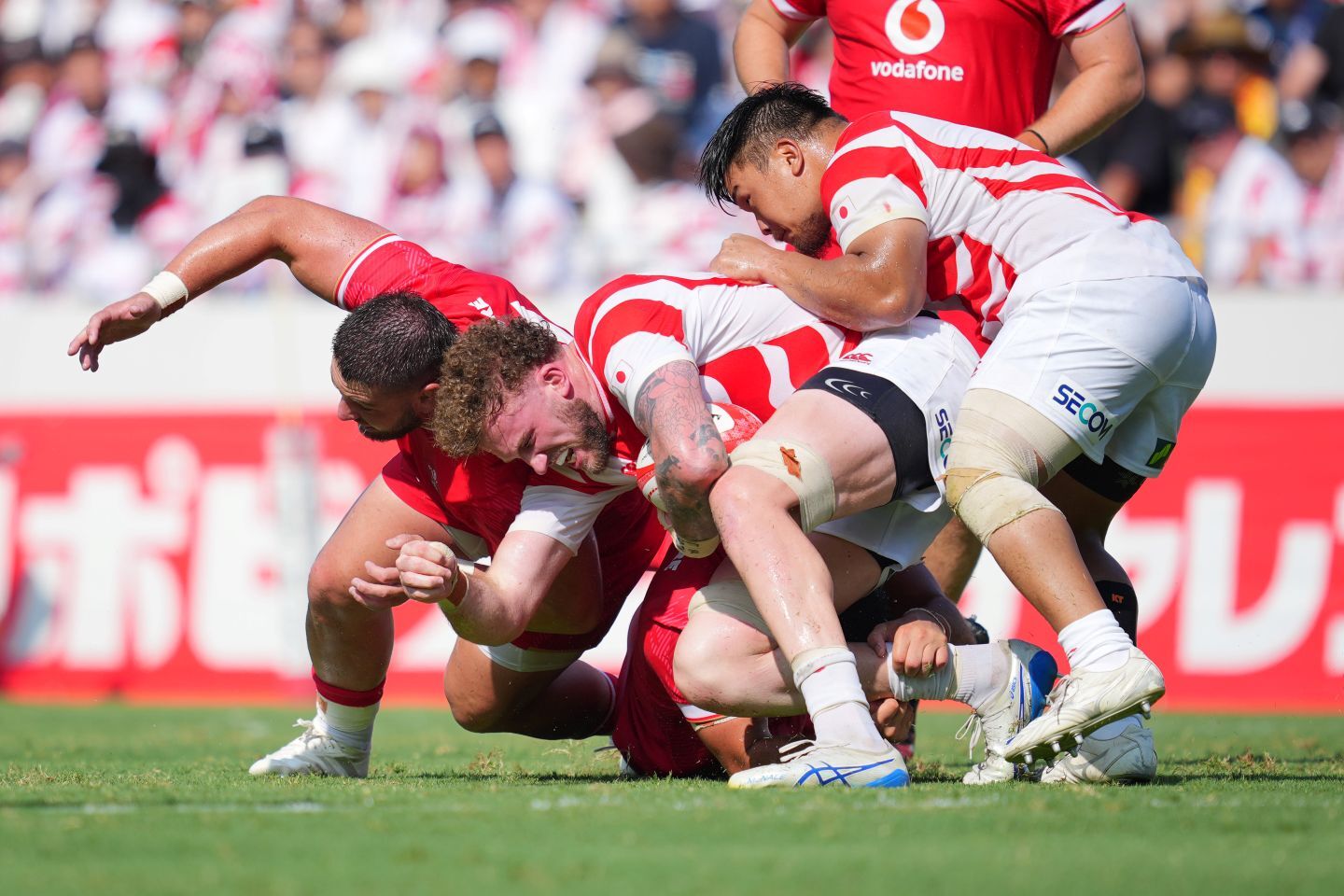 ７月のウェールズ戦では、ティア１相手の勝利に大きく貢献した。(C) Getty Images