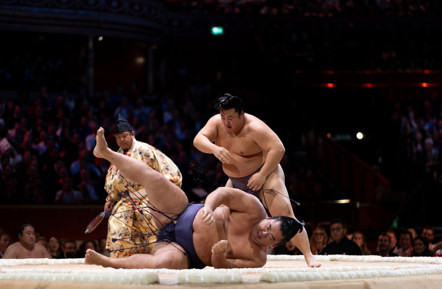 英国内で大人気となった翔猿（奥）。(C)Getty Images