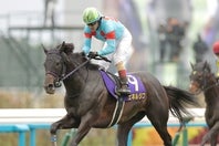 単勝１番人気のエネルジコが菊花賞を制した。写真：産経新聞社