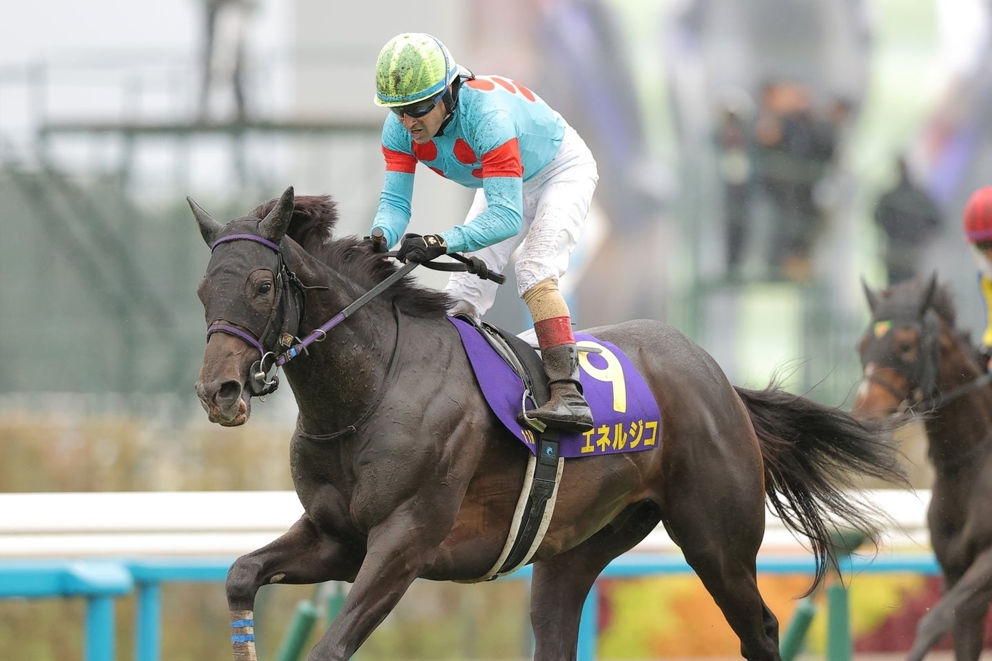 単勝１番人気のエネルジコが菊花賞を制した。写真：産経新聞社