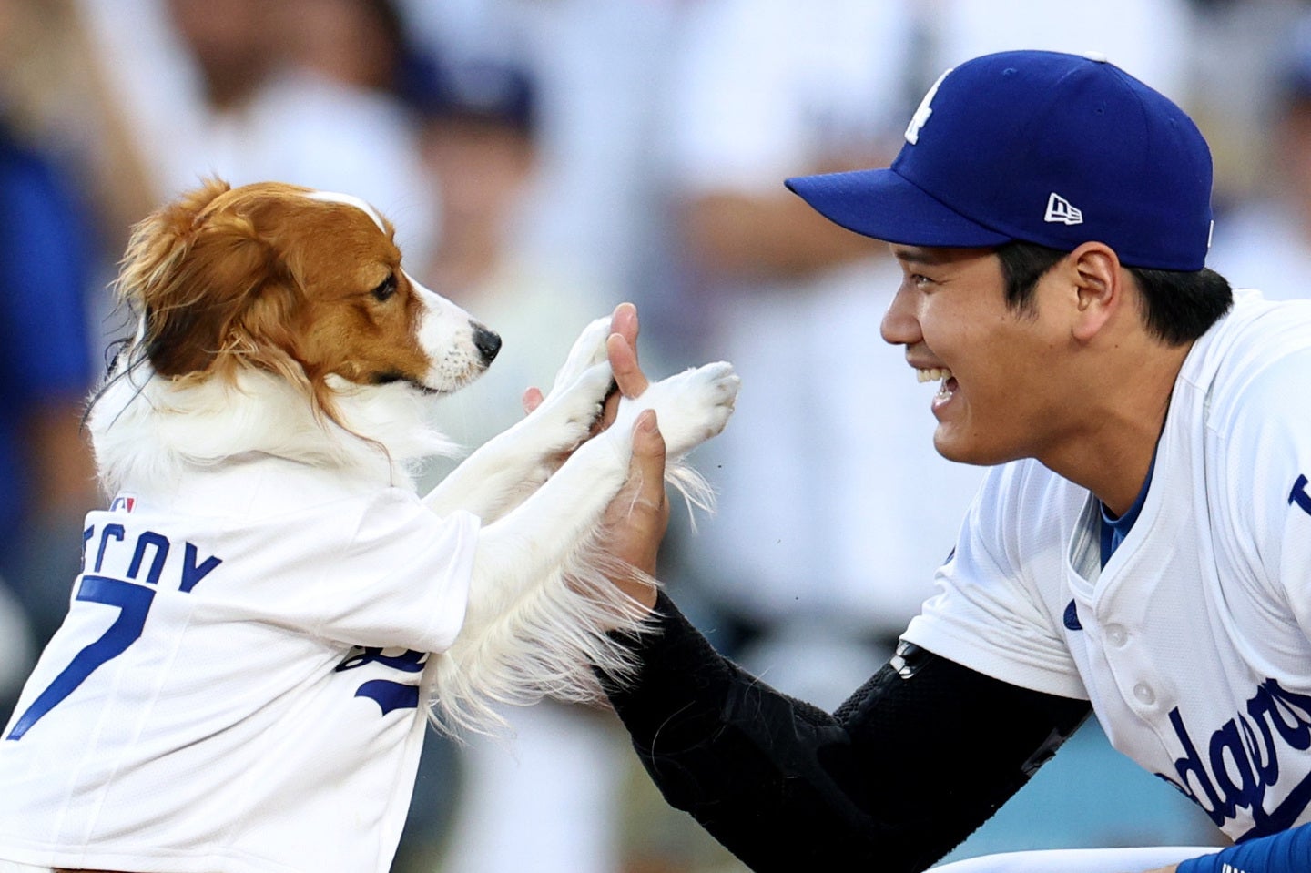 ドジャースの大谷（右）が愛犬デコピンの最新ショットを公開した。（C）Getty Images