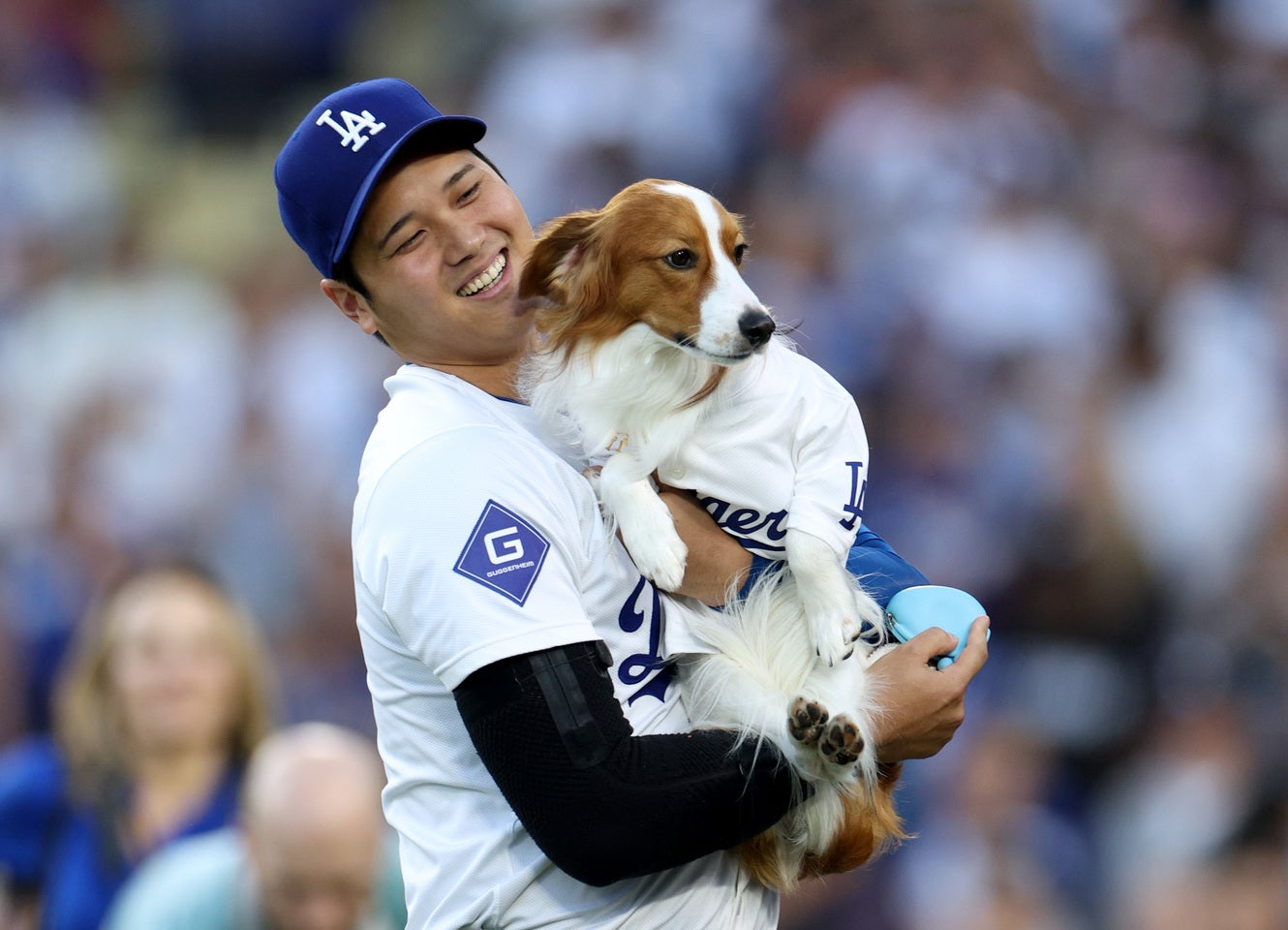 大谷の愛犬デコピン。４度目のリーグMVPを家族一緒に喜んだ。(C) Getty Images