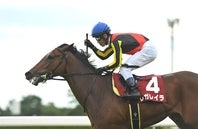 昨年３歳で有馬記念を制したレガレイラ。写真：産経新聞社